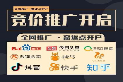 行业趋势下的SEM竞价代运营策略及成功实例